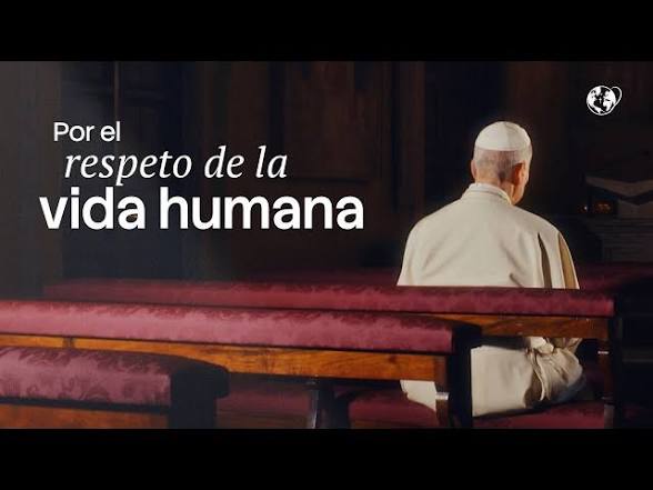 Por el respeto de la vida humana: la intención de oración del Papa en julio
